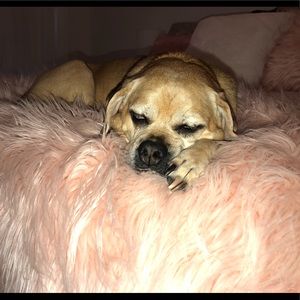 Meet your Posher, Charlie